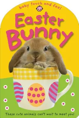Baby Touch and Feel Easter Bunny: Aceste animale drăguțe nu vor să te cunoască! - Baby Touch and Feel Easter Bunny: These Cute Animals Can't Want to Meet You!
