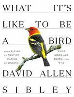 Cum e să fii o pasăre: From Flying to Nesting, Eating to Singing--What Birds Are Doing, and Why - What It's Like to Be a Bird: From Flying to Nesting, Eating to Singing--What Birds Are Doing, and Why