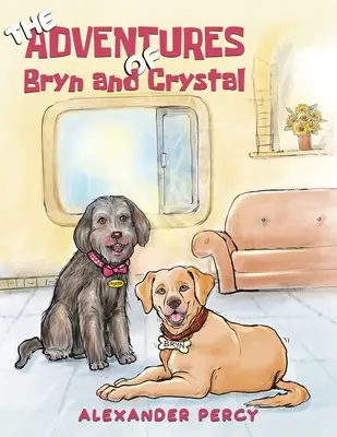 Aventurile lui Bryn și Crystal - The Adventures of Bryn and Crystal