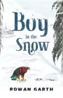 Băiat în zăpadă - Boy in the Snow