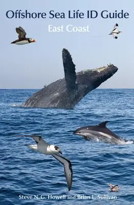Ghid de identificare a vieții marine din larg: Coasta de Est - Offshore Sea Life ID Guide: East Coast