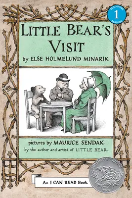 Vizita micului urs - Little Bear's Visit
