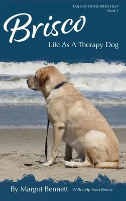 Brisco, viața ca un câine de terapie - Brisco, Life As A Therapy Dog