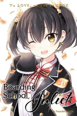 Internat Școala Juliet 6 - Boarding School Juliet 6