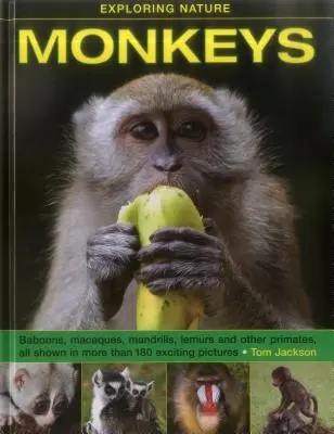 Explorarea naturii: Maimuțele - Exploring Nature: Monkeys