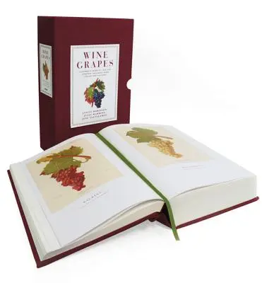 Struguri de vin: A Complete Guide to 1,368 Vine Varieties, Including Their Origins and Flavours - Wine Grapes: A Complete Guide to 1,368 Vine Varieties, Including Their Origins and Flavours