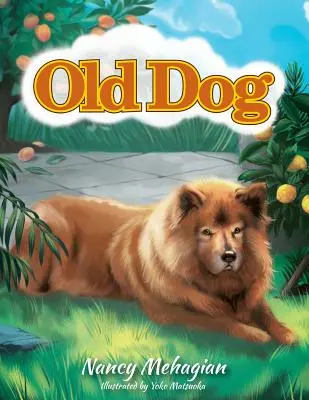 Câine bătrân - Old Dog