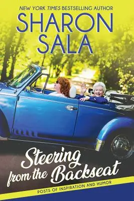 Conducere de pe bancheta din spate - Steering from the Backseat