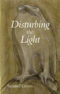Perturbarea luminii - Disturbing the Light