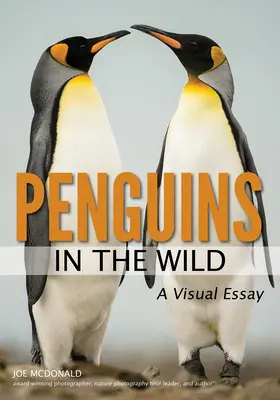 Pinguinii în sălbăticie - Penguins in the Wild