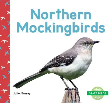 Ciocănitoare nordice - Northern Mockingbirds
