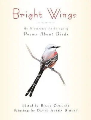 Aripi strălucitoare: O antologie ilustrată de poezii despre păsări - Bright Wings: An Illustrated Anthology of Poems about Birds