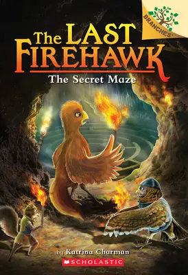 Labirintul secret: O carte cu ramificații (Ultimul Firehawk #10), 10 - The Secret Maze: A Branches Book (the Last Firehawk #10), 10