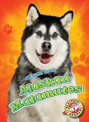 Malamute de Alaska Malamute de Alaska - Alaskan Malamutes Alaskan Malamutes