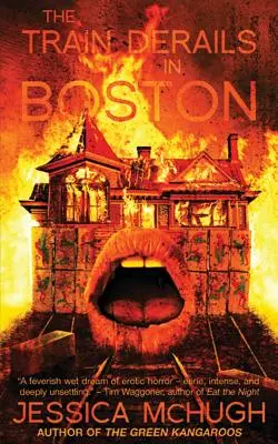 Trenul deraiază în Boston - The Train Derails in Boston