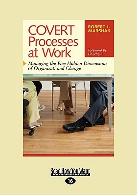 Procese ascunse la locul de muncă: Gestionarea celor cinci dimensiuni ascunse ale schimbării organizaționale (Easyread Large Edition) - Covert Processes at Work: Managing the Five Hidden Dimensions of Organizational Change (Easyread Large Edition)