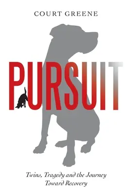 Pursuit: Gemeni, tragedie și călătoria spre recuperare - Pursuit: Twins, Tragedy and the Journey Toward Recovery