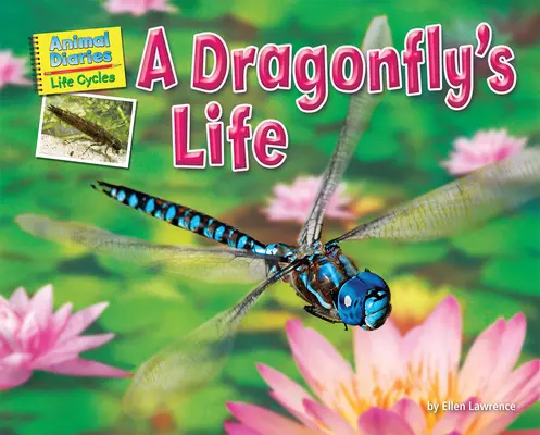 Viața unei libelule - A Dragonfly's Life