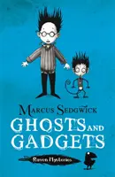 Misterele corbului: Fantome și gadgeturi - Cartea 2 - Raven Mysteries: Ghosts and Gadgets - Book 2