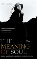 Sensul sufletului: Muzica neagră și reziliența începând cu anii 1960 - The Meaning of Soul: Black Music and Resilience Since the 1960s