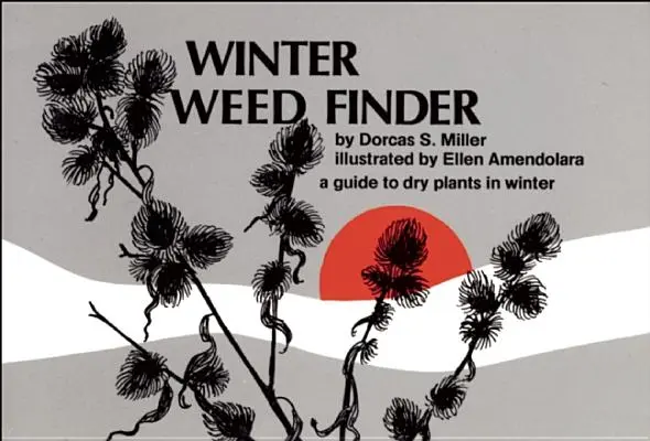 Winter Weed Finder: Un ghid al plantelor uscate iarna - Winter Weed Finder: A Guide to Dry Plants in Winter