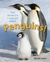 Pinguini! Cele mai tari păsări din lume - Penguins!: The World's Coolest Birds