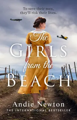 Fetele de pe plajă (The Girls from the Beach) - The Girls from the Beach