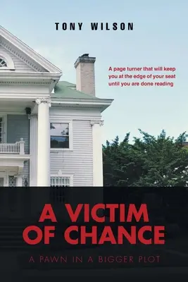 O victimă a șansei: Un pion într-un complot mai mare - A Victim Of Chance: A Pawn in a Bigger Plot
