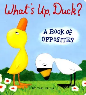 What's Up, Duck?: O carte a contrariilor - What's Up, Duck?: A Book of Opposites