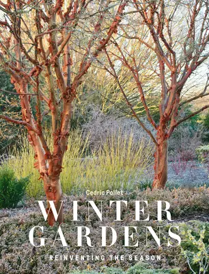 Grădinile de iarnă: Reinventarea sezonului - Winter Gardens: Reinventing the Season