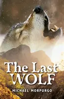 Rollercoasters: Ultimul lup - Rollercoasters: The Last Wolf