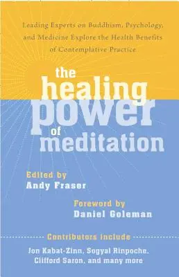 Puterea vindecătoare a meditației: Experți de frunte în budism, psihologie și medicină explorează beneficiile pentru sănătate ale practicii contemplative - The Healing Power of Meditation: Leading Experts on Buddhism, Psychology, and Medicine Explore the Health Benefits of Contemplative Practice
