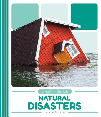 Dezastre naturale - Natural Disasters