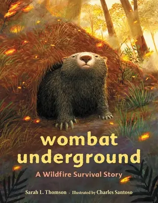 Wombat Underground: O poveste de supraviețuire la un incendiu de vegetație - Wombat Underground: A Wildfire Survival Story