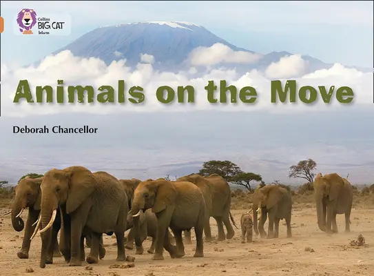 Animale în mișcare - Animals on the Move