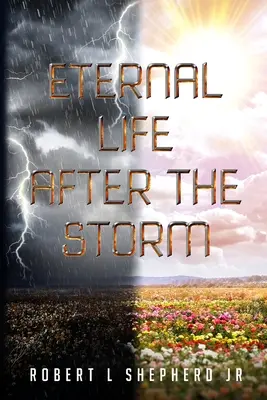 Viața veșnică după furtună: O carte a călătoriei unui creștin de la naștere la viața veșnică - Eternal Life After The Storm: A Book of a Christian's Journey from Birth to Eternal Life