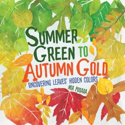 De la verdele verii la aurul toamnei: Descoperirea culorilor ascunse ale frunzelor - Summer Green to Autumn Gold: Uncovering Leaves' Hidden Colors