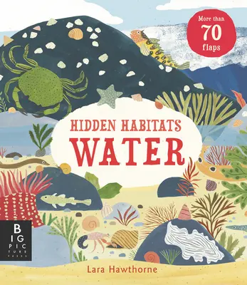 Habitate ascunse: Apa - Hidden Habitats: Water