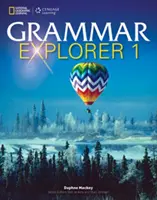 Exploratorul gramaticii 1 - Grammar Explorer 1