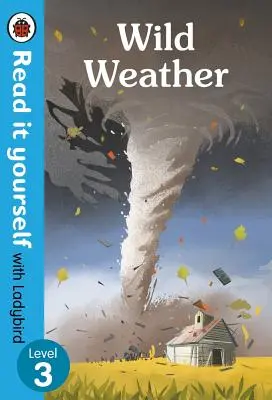 Vremea sălbatică: Nivelul 3 - Wild Weather: Level 3