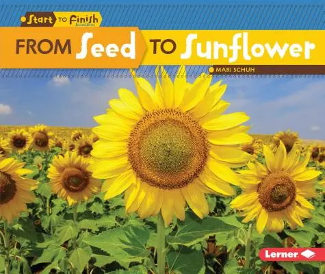 De la sămânță la floarea-soarelui - From Seed to Sunflower