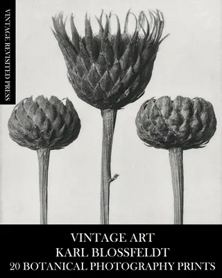 Vintage Art: Karl Blossfeldt 20 de fotografii botanice tipărite - Vintage Art: Karl Blossfeldt 20 Botanical Photography Prints