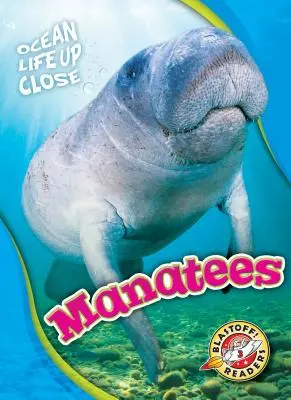 Manatee - Manatees