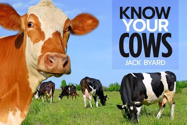 Cunoaște-ți vacile - Know Your Cows