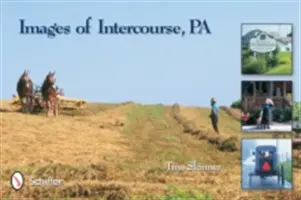 Imagini ale interculturalității - Images of Intercourse