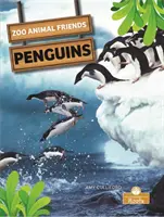 Pinguini - Penguins