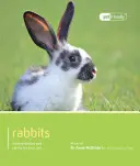 Iepure - Rabbit