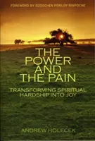 Puterea și durerea: Transformarea greutăților spirituale în bucurie - The Power and the Pain: Transforming Spiritual Hardship Into Joy