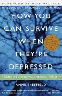 Cum poți supraviețui când ei sunt deprimați: Cum să trăiești și să faci față depresiei Fallout - How You Can Survive When They're Depressed: Living and Coping with Depression Fallout