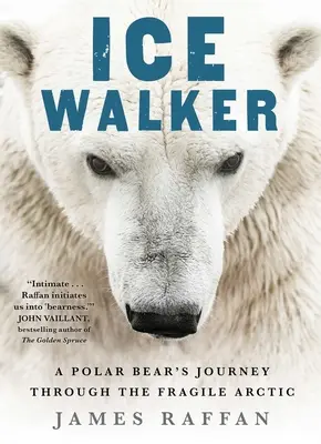Ice Walker: Călătoria unui urs polar prin Fragila Arctică - Ice Walker: A Polar Bear's Journey Through the Fragile Arctic